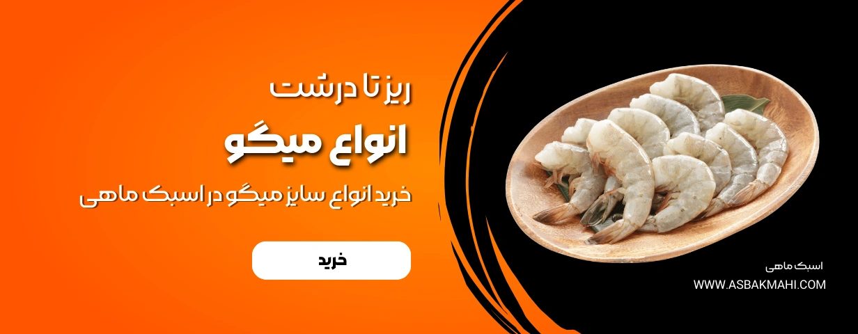 خرید میگو در اسبک ماهی 